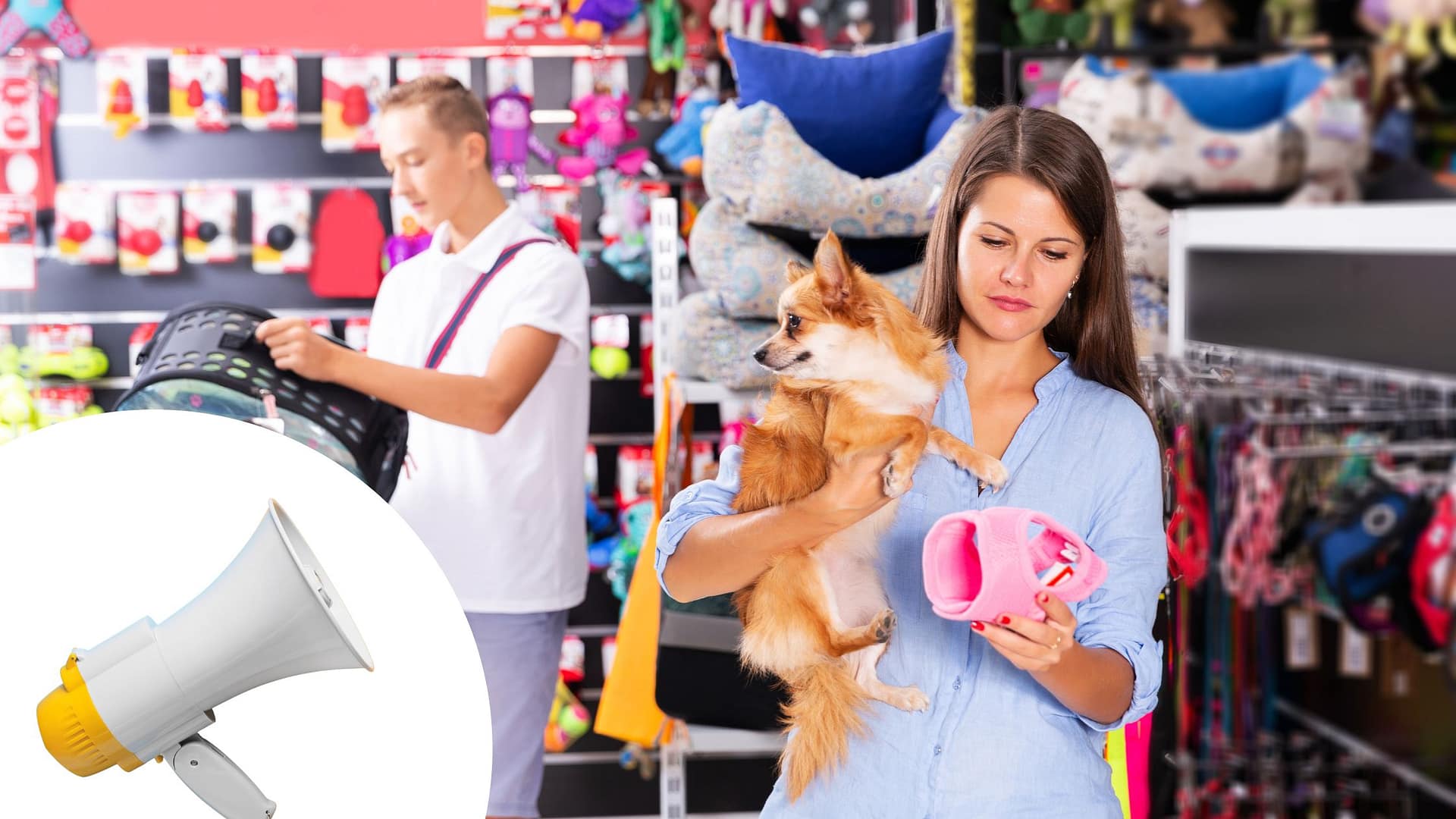 reklama sklepu zoologicznego - pani z psem