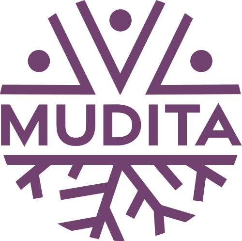 Cennik - Facebook Ads 5 mudita