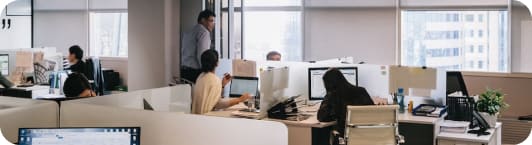 O Agencji 44 agencja SEO/SEM