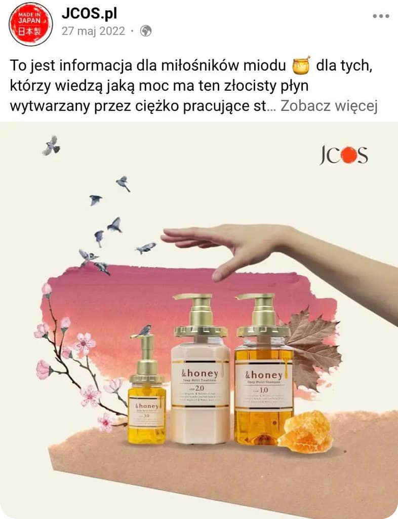 Agencja Facebook Ads 83 01